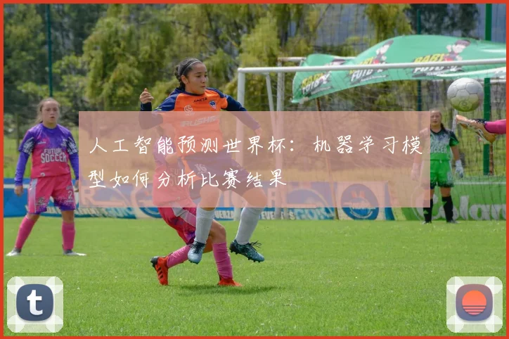 人工智能预测世界杯：机器学习模型如何分析比赛结果