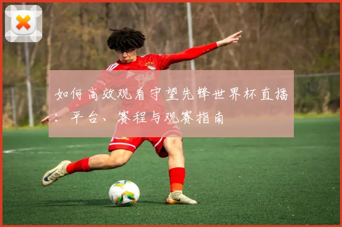 如何高效观看守望先锋世界杯直播：平台、赛程与观赛指南