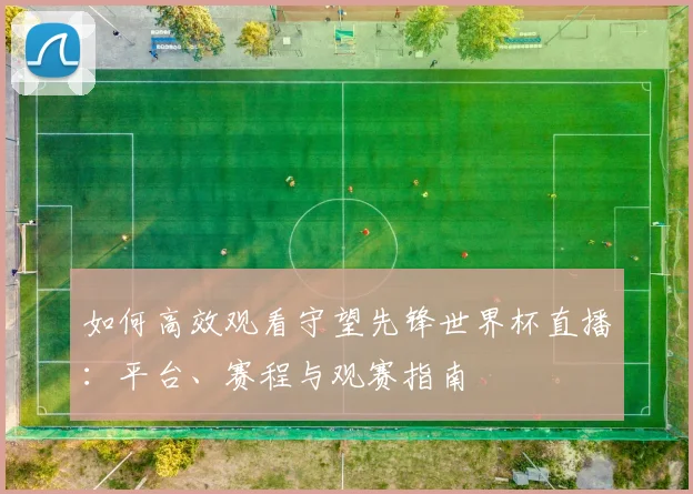 如何高效观看守望先锋世界杯直播：平台、赛程与观赛指南