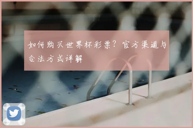 如何购买世界杯彩票？官方渠道与合法方式详解