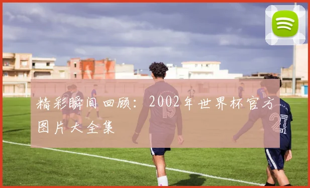 精彩瞬间回顾：2002年世界杯官方图片大全集