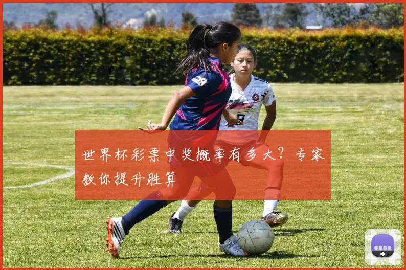 世界杯彩票中奖概率有多大？专家教你提升胜算